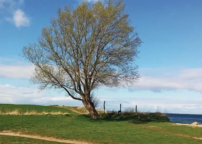 Seerose 5 Ferienhaus Süssau